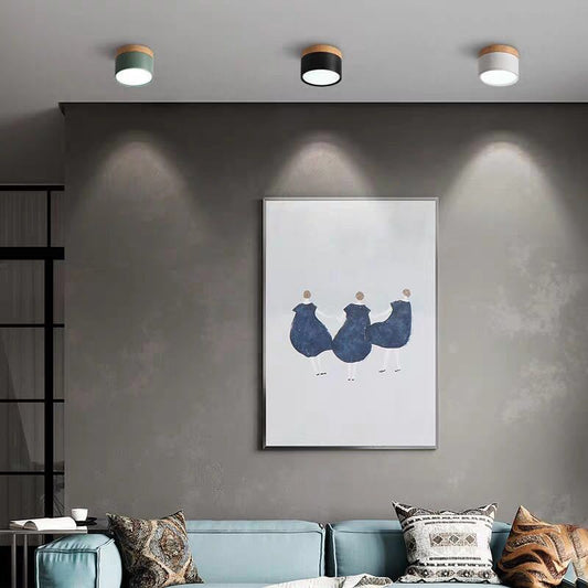 Elegante Morandi LED Plafondlamp voor Modern Interieur