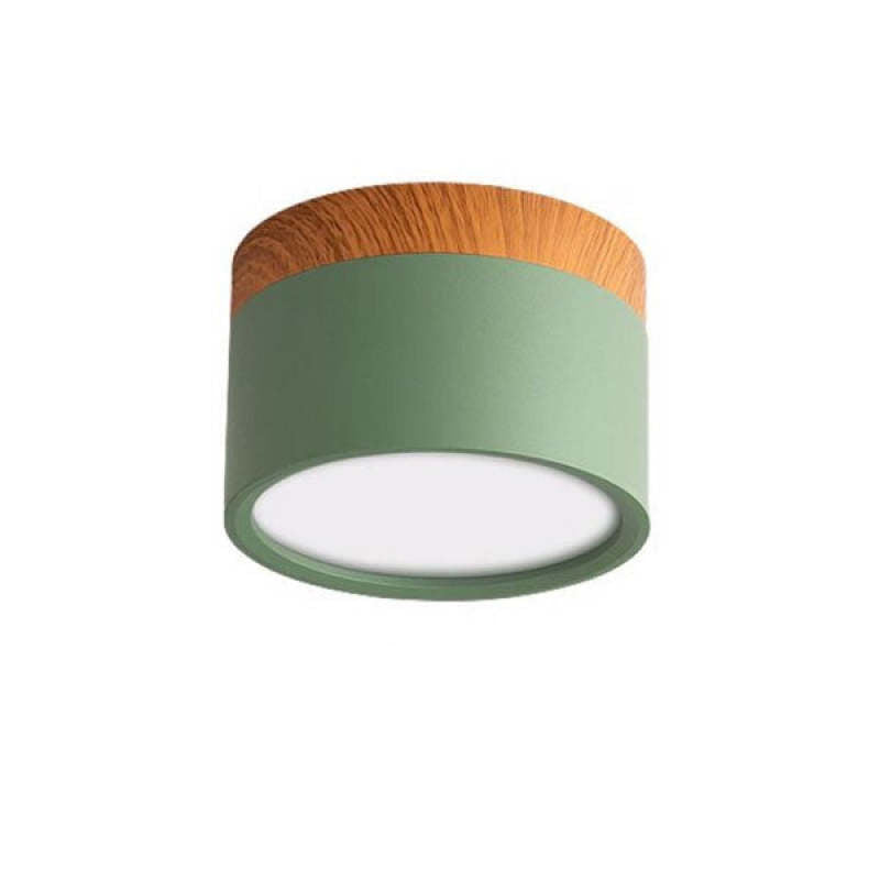 Elegante Morandi LED Plafondlamp voor Modern Interieur