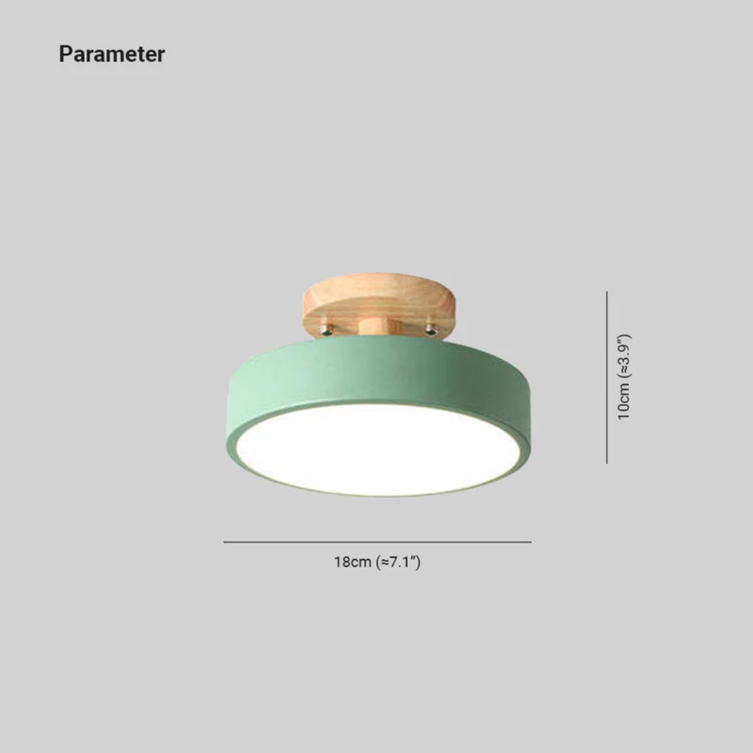 Moderne Ronde LED Plafondlamp met Hout