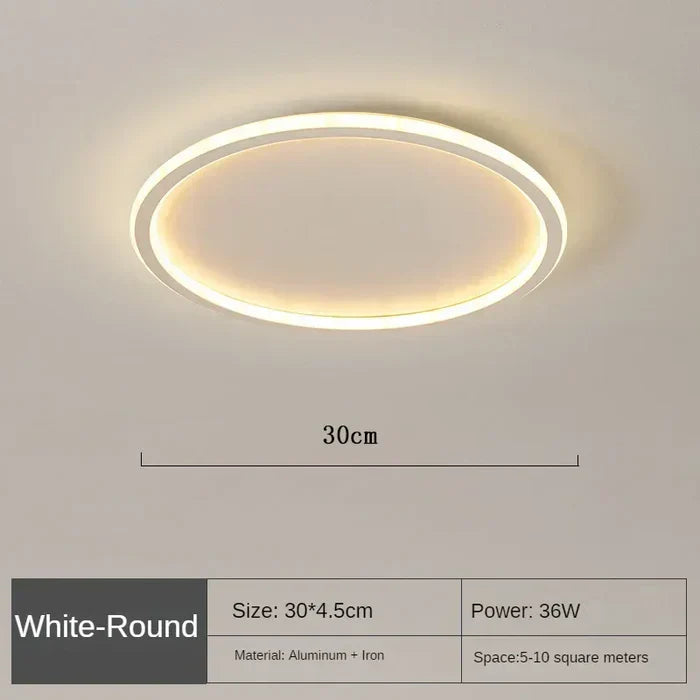 Elegante Scandinavische Ronde Plafondlamp voor Verlichting