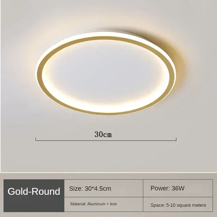 Elegante Scandinavische Ronde Plafondlamp voor Verlichting