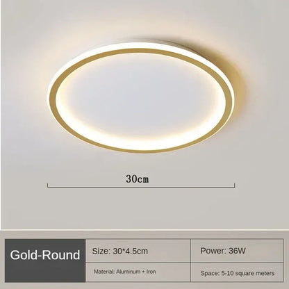 Elegante Scandinavische Ronde Plafondlamp voor Verlichting