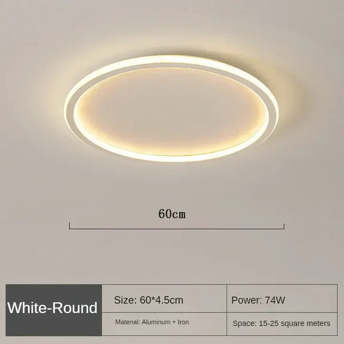 Elegante Scandinavische Ronde Plafondlamp voor Verlichting