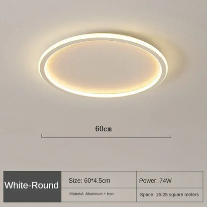 Elegante Scandinavische Ronde Plafondlamp voor Verlichting