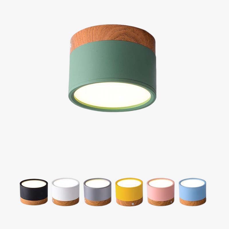 Elegante Morandi LED Plafondlamp voor Modern Interieur