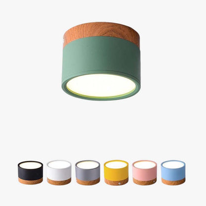 Elegante Morandi LED Plafondlamp voor Modern Interieur