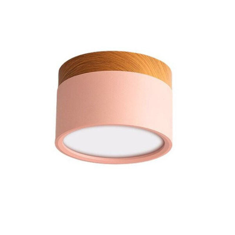Elegante Morandi LED Plafondlamp voor Modern Interieur