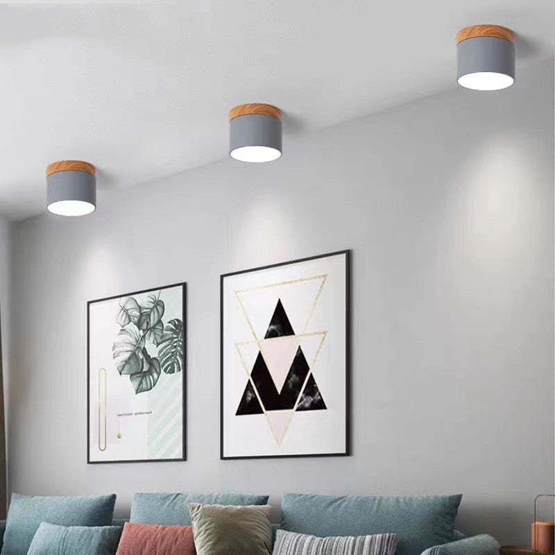 Elegante Morandi LED Plafondlamp voor Modern Interieur