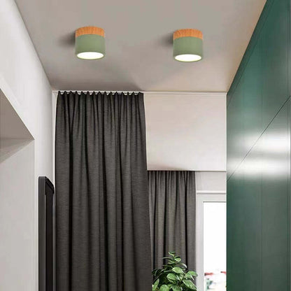 Elegante Morandi LED Plafondlamp voor Modern Interieur