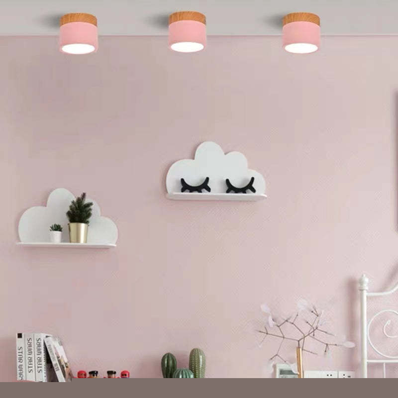 Elegante Morandi LED Plafondlamp voor Modern Interieur