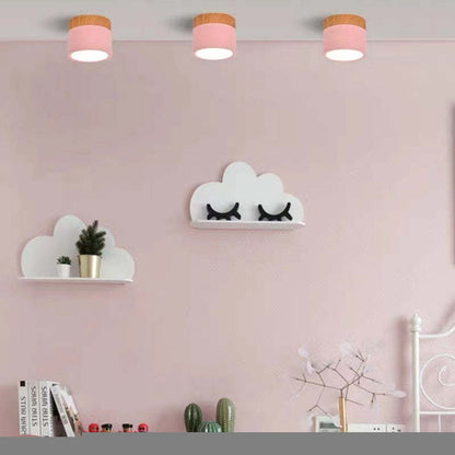 Elegante Morandi LED Plafondlamp voor Modern Interieur