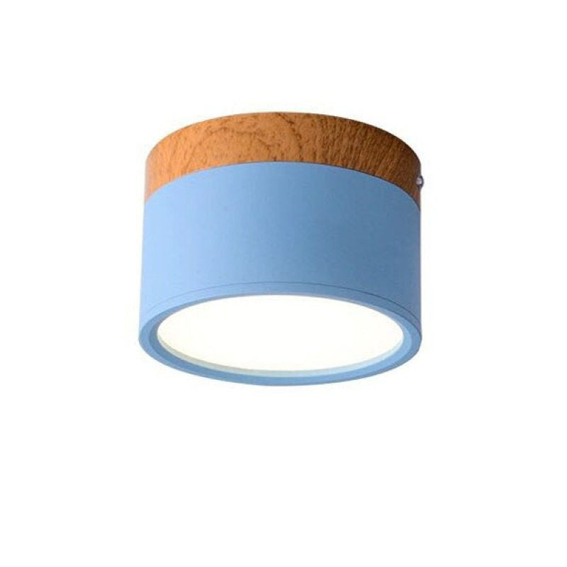 Elegante Morandi LED Plafondlamp voor Modern Interieur