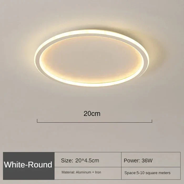 Elegante Scandinavische Ronde Plafondlamp voor Verlichting
