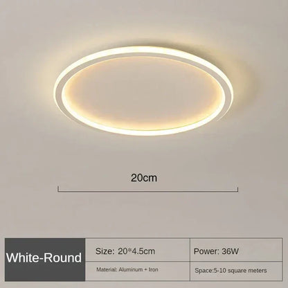 Elegante Scandinavische Ronde Plafondlamp voor Verlichting