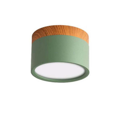 Elegante Morandi LED Plafondlamp voor Modern Interieur