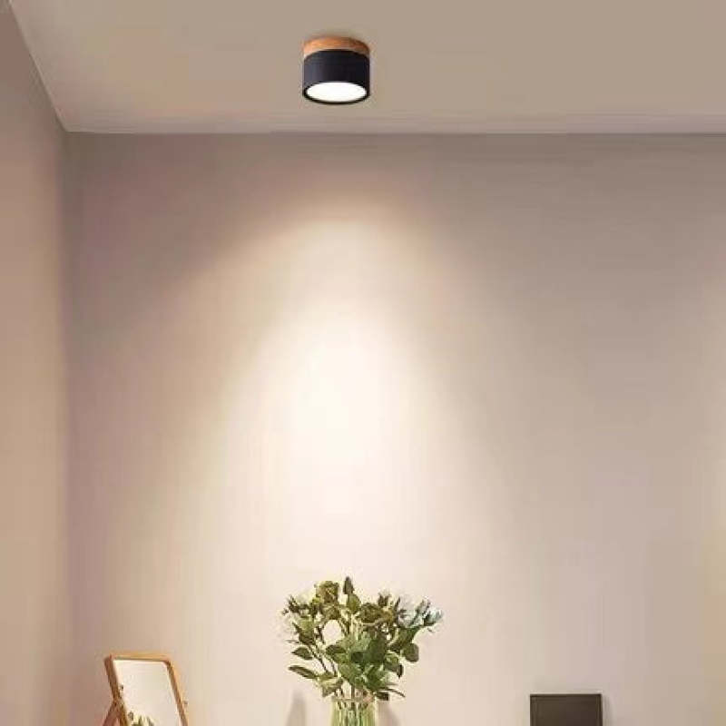 Elegante Morandi LED Plafondlamp voor Modern Interieur