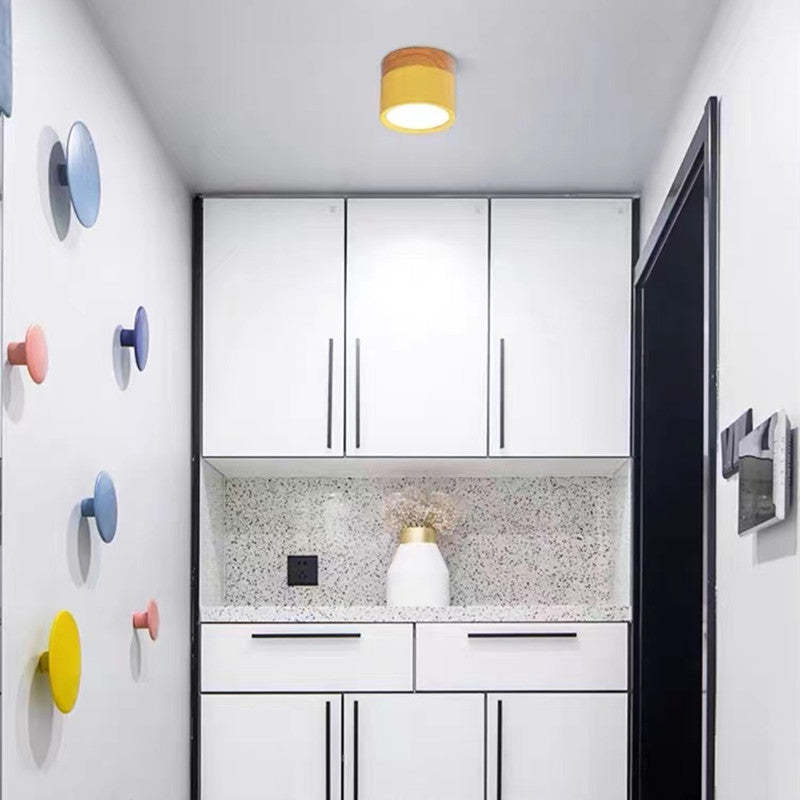 Elegante Morandi LED Plafondlamp voor Modern Interieur