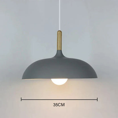 Elegante Scandinavische Eiken Plafondlamp met LED