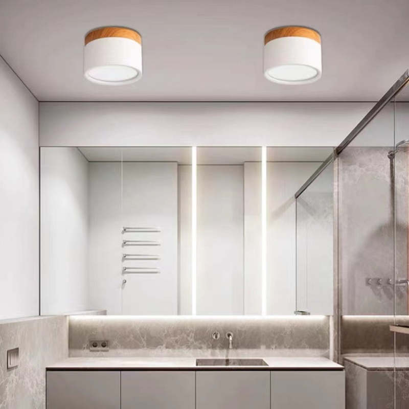 Elegante Morandi LED Plafondlamp voor Modern Interieur