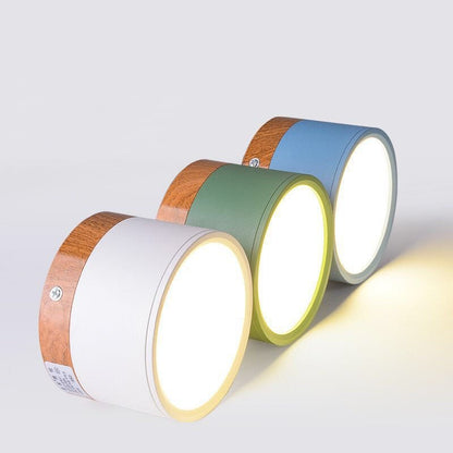 Elegante Morandi LED Plafondlamp voor Modern Interieur