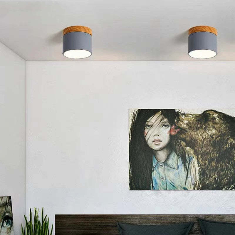 Elegante Morandi LED Plafondlamp voor Modern Interieur