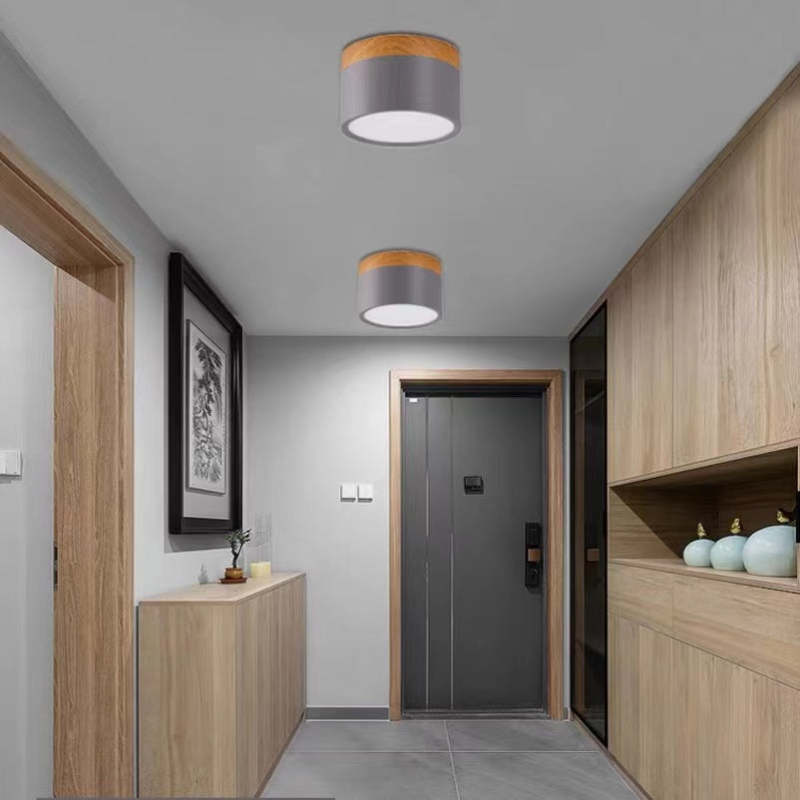 Elegante Morandi LED Plafondlamp voor Modern Interieur