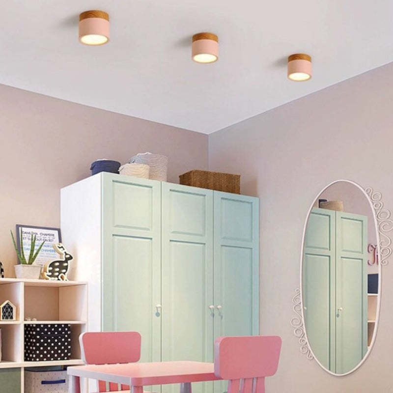 Elegante Morandi LED Plafondlamp voor Modern Interieur